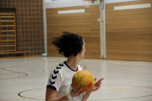 2016_01_23 Landesliga Frauen